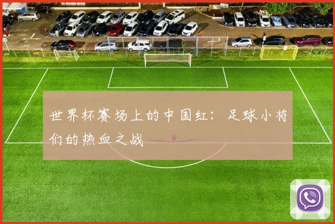 世界杯赛场上的中国红：足球小将们的热血之战