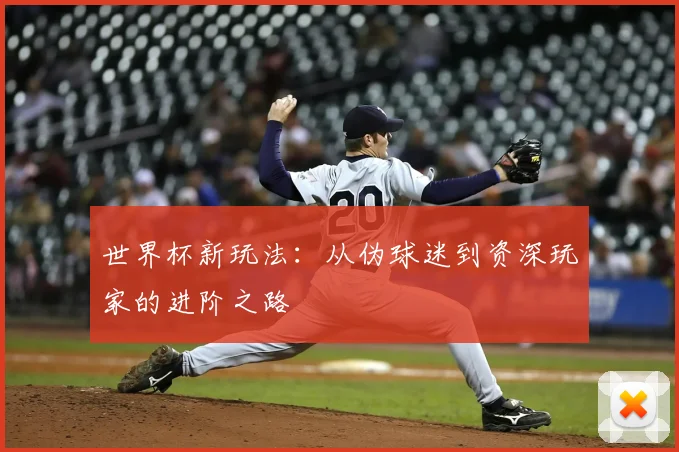 世界杯新玩法：从伪球迷到资深玩家的进阶之路