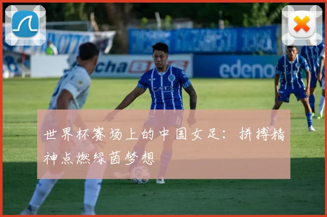世界杯赛场上的中国女足：拼搏精神点燃绿茵梦想