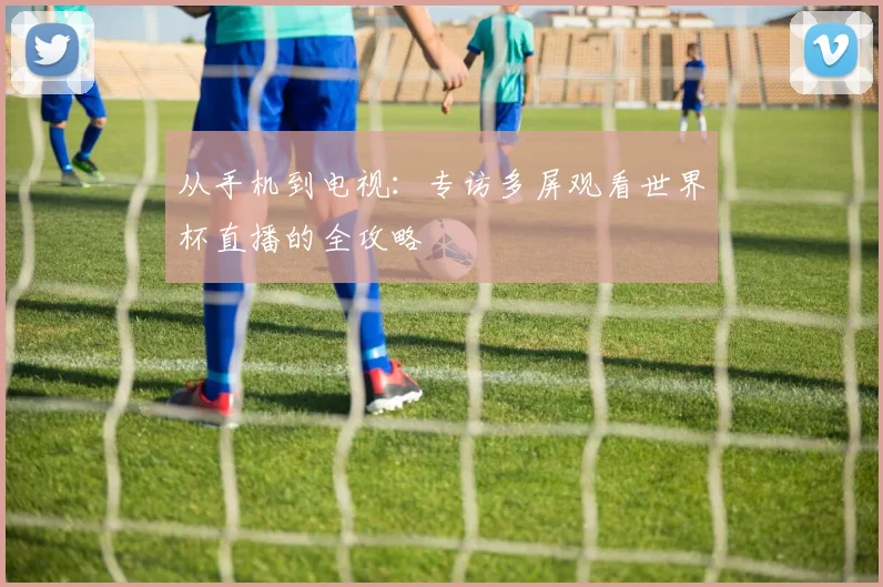 从手机到电视：专访多屏观看世界杯直播的全攻略
