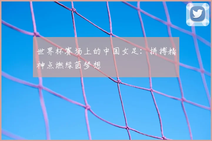 世界杯赛场上的中国女足：拼搏精神点燃绿茵梦想
