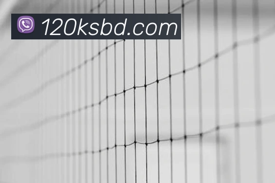 beat365在线体育平台服务体系